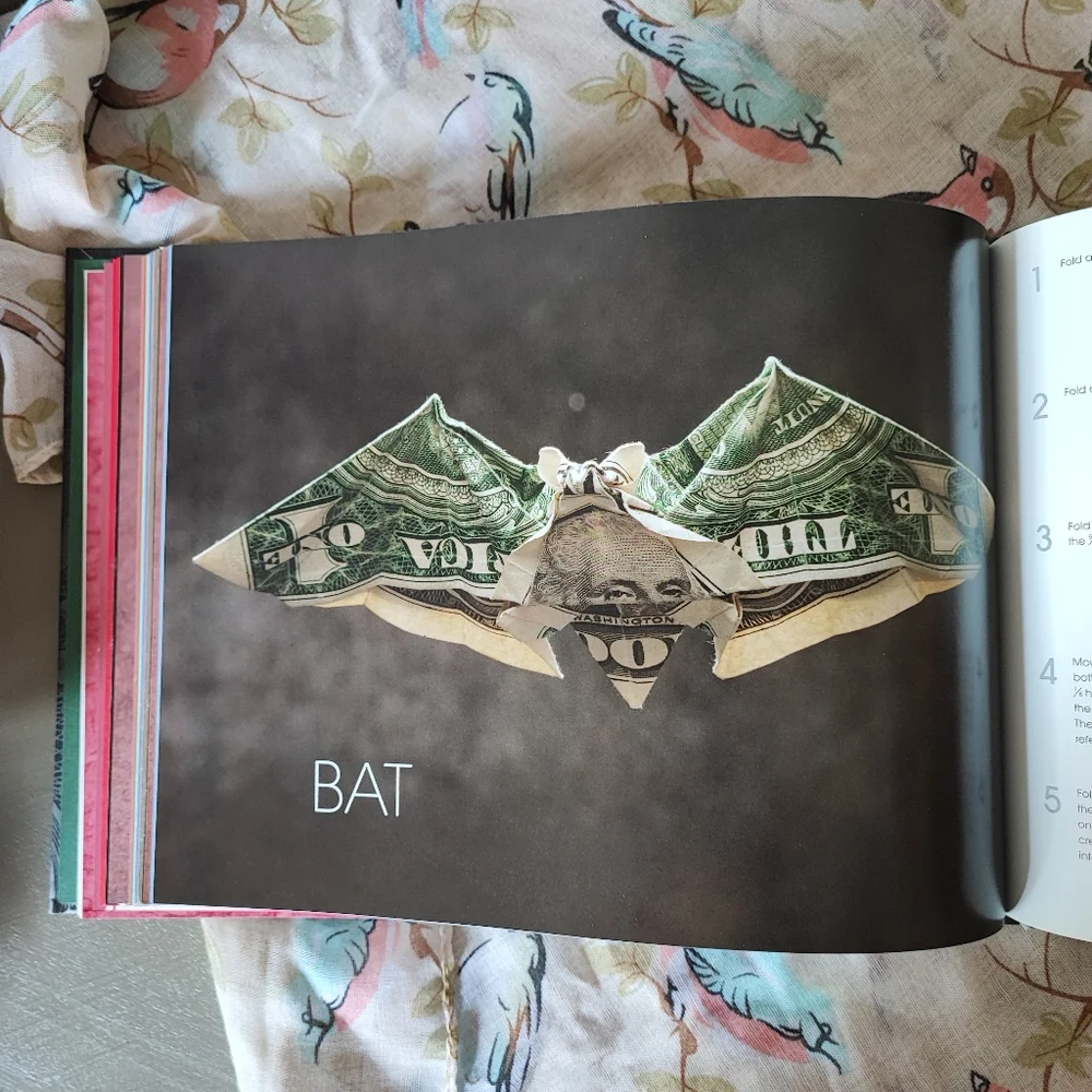 Extreme Origami Book NEW by Won Park Illustrations with Instructions